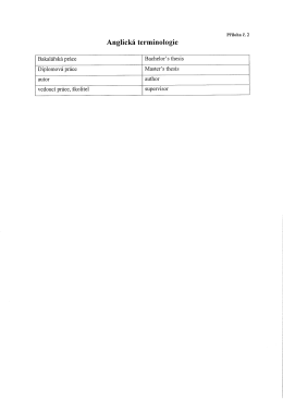 Př&iacute;loha č. 2