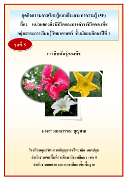 การสืบพันธุ์ของพืช ชุดกิจกรรมการเรียนรู้แบบ