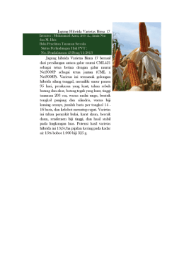 Page 1 Jagung Hibrida Varietas Bima 17 Inventor : Muhammad