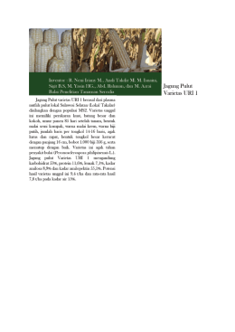 Page 1 Inwellor : R. Neni Iriany M., Andi Takdir M. M. Isilaili, Sigit
