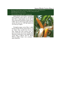 Page 1 Jagung Hibrida Varietas Bima 4 Inventor : R. Neni Iriany