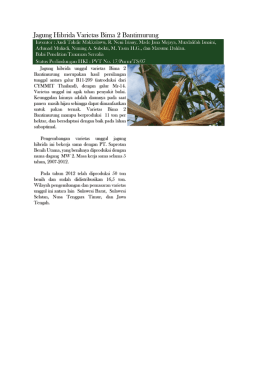Page 1 Jagung Hibrida Varietas Bima 2 Bantimurung Inventor : Andi