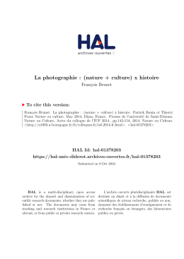 Brunet-IUF-Dijon 2014 - Hal-SHS