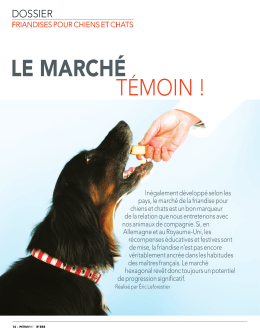 Friandises pour chiens et chats : le marché témoin