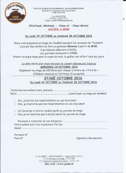 Stage 100 - Pays d`Aubagne Handball Agglom&eacute;ration