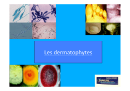 19-Dermatophytes - Pharmaetudes.com