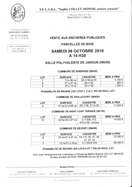 Affiche de présentation