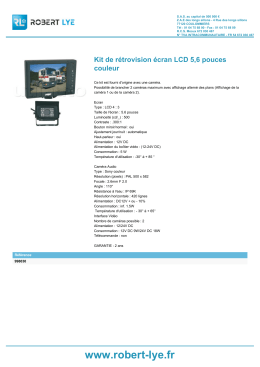 Kit de rétrovision écran LCD 5,6 pouces couleur - Robert-Lye