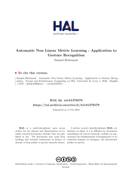 Automatic Non Linear Metric Learning - Application to - Tel