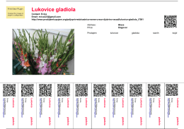 Lukovice gladiola - Kupujem Prodajem
