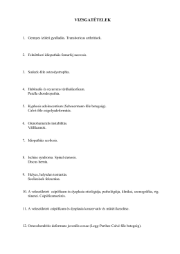 Vizsgat&eacute;telek