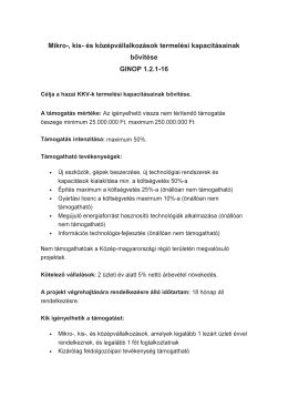 PDF >>> : GINOP-1.2.1-16 Mikro