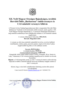 Versenykiírás