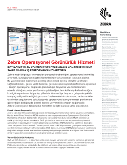 Zebra Operasyonel G&ouml;r&uuml;n&uuml;rl&uuml;k Hizmeti