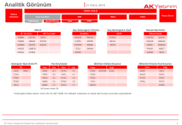 Analitik G&ouml;r&uuml;n&uuml;m