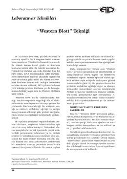 western blot tekniği - Erzurum Teknik &Uuml;niversitesi