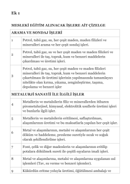 Mesleki Eğitim Zorunlu Olan Meslekler
