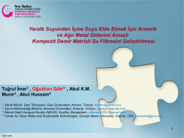 Tuğrul İmer, Oğuzhan G&ouml;k, Abul K.M. Munir, Abul