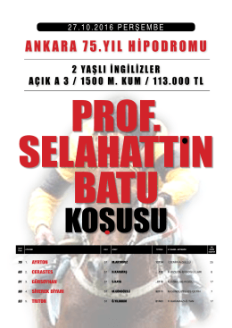 ankara 75.yıl hipodromu