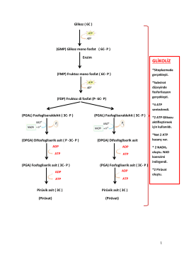Dosya İndirin - Your Pocket Library