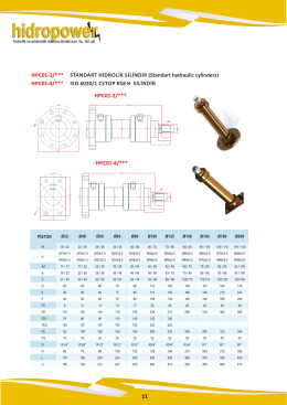 hpc01-2 standart hidrolik silidirler