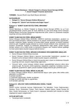 G&ouml;lc&uuml;k Bel-GFSD 7.U FY