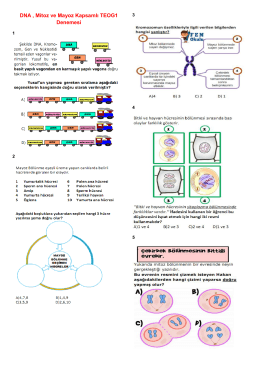 DNA , Mitoz ve Mayoz Kapsamlı TEOG1 Denemesi