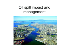 เทคนิคการกําจัดคราบน้ํามัน