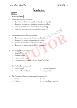 รูปแบบชีทของ The Tutor