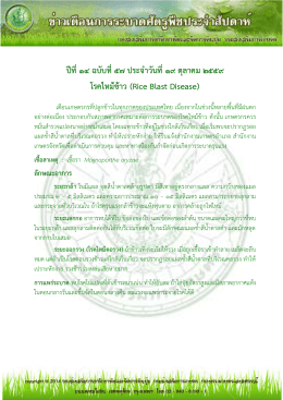 ปีที่ ๑๔ ฉบับที่ ๕๗ ประจำวันที่ ๑๙ ตุลำคม ๒๕๕๙ โ