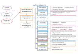 Flow Chart การนำเสนอครั้งที่ 1