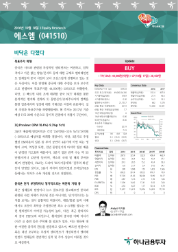 에스엠 (041510)