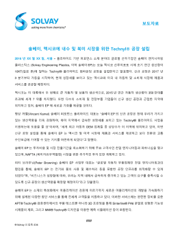 보도자료 솔베이, 멕시코에 내수 및 북미 시장을 위한 Technyl