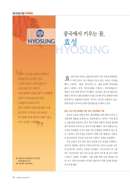 효성 - 포스코경영연구원