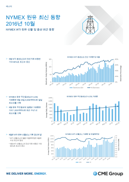 브로슈어 읽기 - CME Group