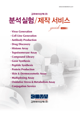 고마 분석,제작서비스