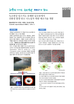 녹조현상 일으키는 유해한 남조류에서 친환경 발광 탄소 나노입자