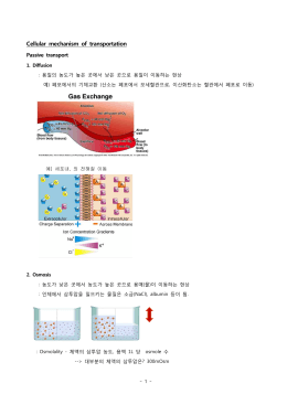 Cellular mechanism of transportation
