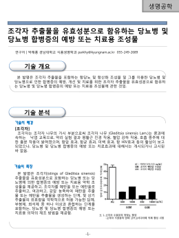기술 개요 기술 분석