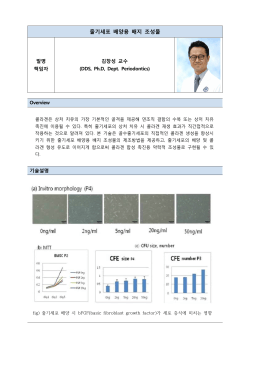 줄기세포 배양용 배지 조성물