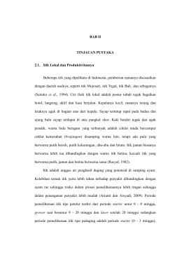 3 BAB II TINJAUAN PUSTAKA 2.1. Itik Lokal dan Produktivitasnya