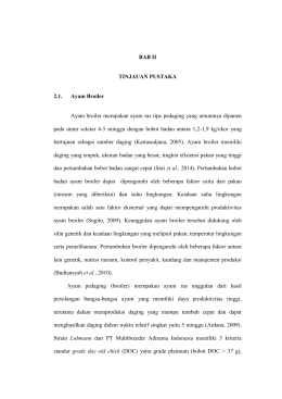 4 BAB II TINJAUAN PUSTAKA 2.1. Ayam Broiler Ayam broiler