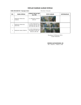 USULAN DAERAH ALIRAN SUNGAI