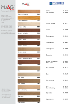 PFLEIDERER - MAAG Polska