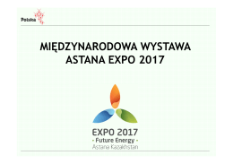 Michał Polański - Ministerstwo Rozwoju