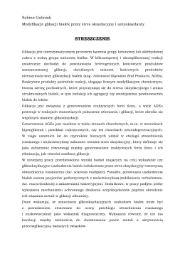 Streszczenie_Sabina Galiniak