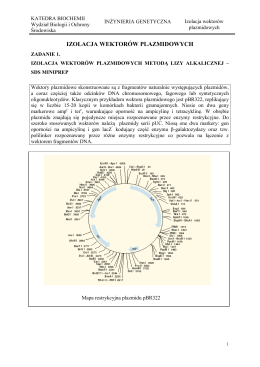 Izolacja wektorów plazmidowych - Wydział Biologii i Ochrony