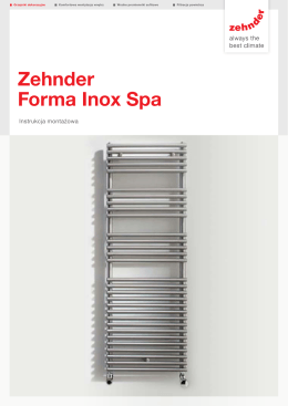 Zehnder Forma Inox Spa