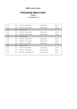 Program minutowy