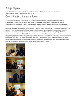 Generuj PDF - Policja Śląska